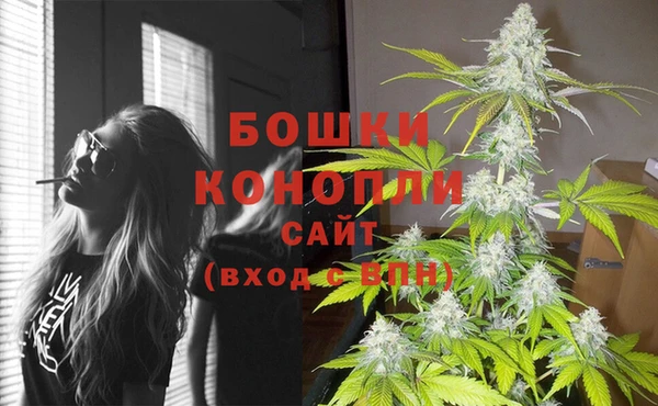 сатива Билибино