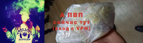 прущая мука Дмитриев