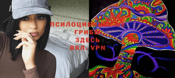 таблы Дмитров