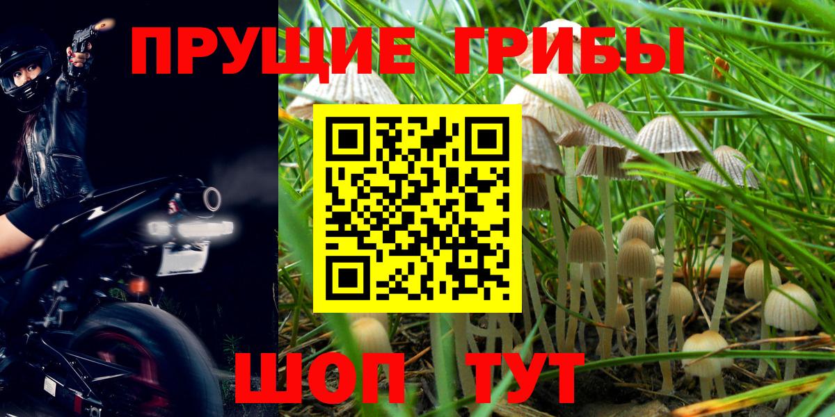 Галлюциногенные грибы GOLDEN TEACHER Изобильный