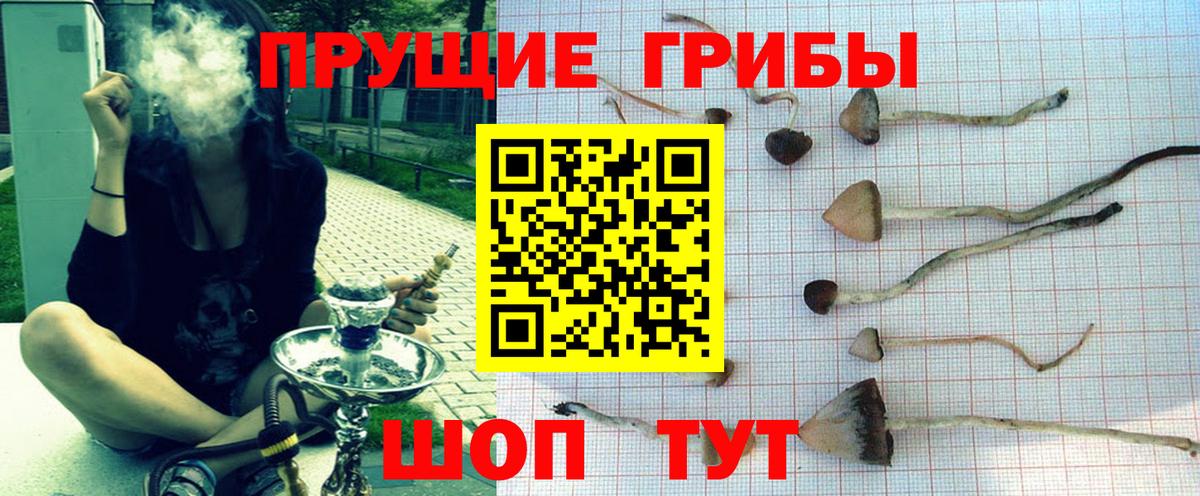 Изобильный  Галлюциногенные грибы мицелий  Галлюциногенные грибы мухоморы  магазин    Вход с VPN 